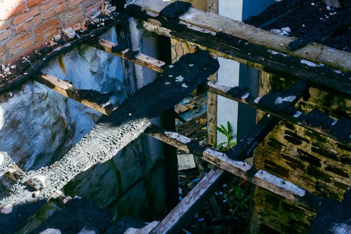 Roof Leak Repair in Wilson, NC
